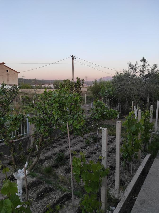 Alanthia Appartement Vlorë Buitenkant foto